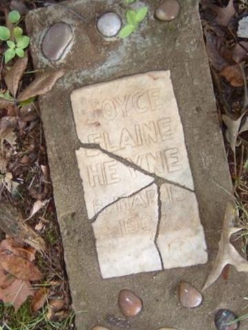 Joyce Elaine Heyne on Sysoon