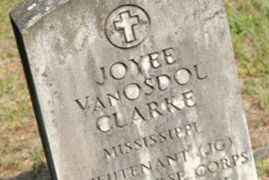 JOYEE VANOSDAOL CLARKE on Sysoon
