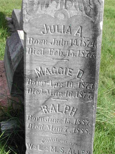 Julia A. Allen on Sysoon