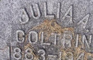 Julia A Coltrin on Sysoon