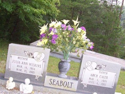 Julia Ann Wilkins Seabolt on Sysoon