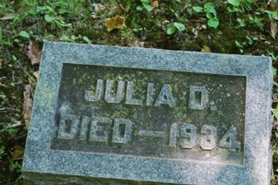 Julia D. Wilcox on Sysoon