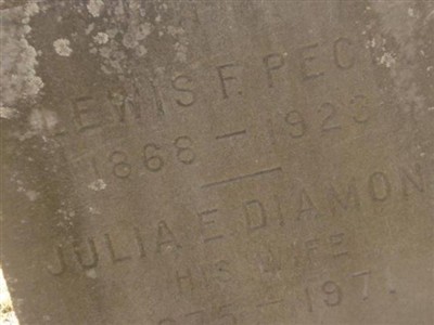 Julia E Diamond Peck on Sysoon
