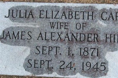 Julia Elizabeth Capps Hines on Sysoon