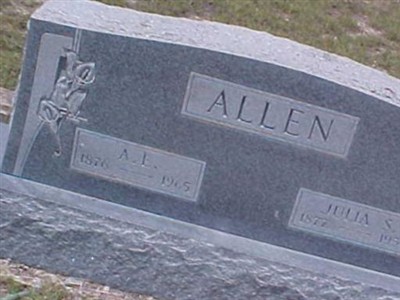 Julia S. Allen on Sysoon