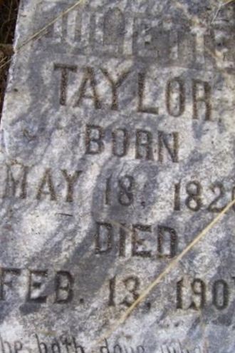 Juliette Lewis Vann Taylor on Sysoon