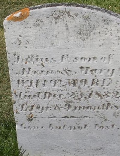 Julius E. Whitmore on Sysoon