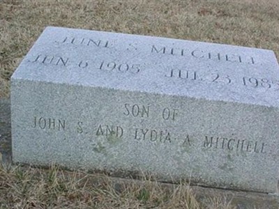 June S Mitchell on Sysoon