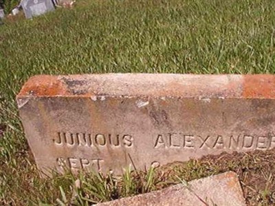 Junious Alexander on Sysoon