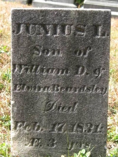 Junius Beardsley on Sysoon