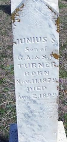 Junius S. Turner on Sysoon