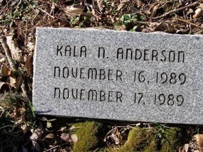 Kala N. Anderson on Sysoon