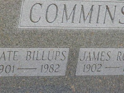 Kate Billups Commins on Sysoon