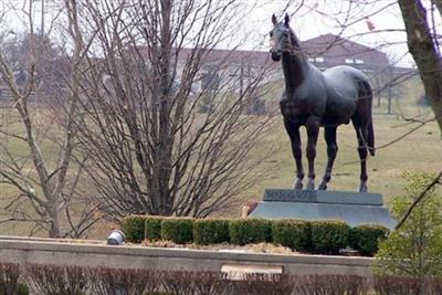 Kentucky Horse Park on Sysoon