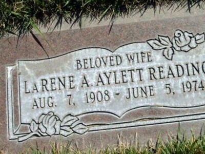 La Rene Reading on Sysoon