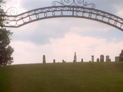 Ladoga Cemetery on Sysoon