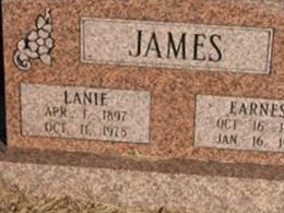 Lanie Hurst James on Sysoon
