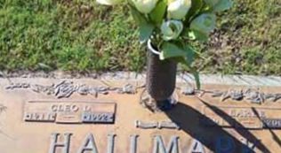 Laree Hallmark on Sysoon