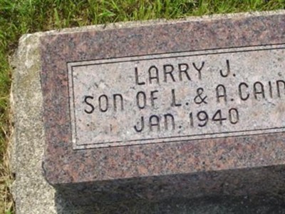 Larry J. Cain on Sysoon