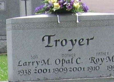 Larry M Troyer on Sysoon
