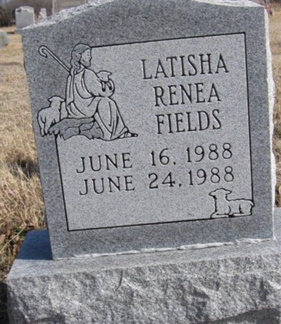 Latisha Renea Fields on Sysoon