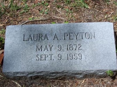 Laura A. Peyton on Sysoon