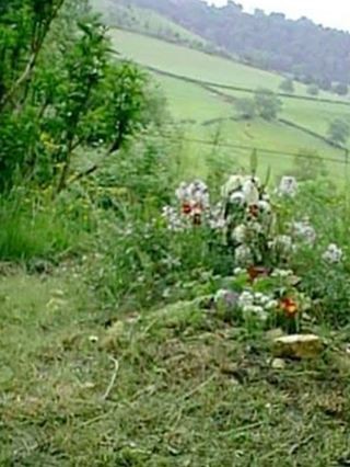 Laurie Lee on Sysoon