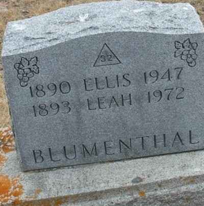 Leah Blumenthal on Sysoon