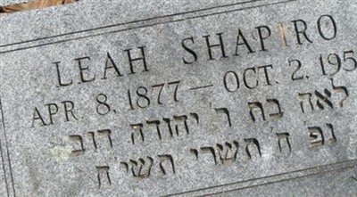 Leah Weintraub Shapiro on Sysoon