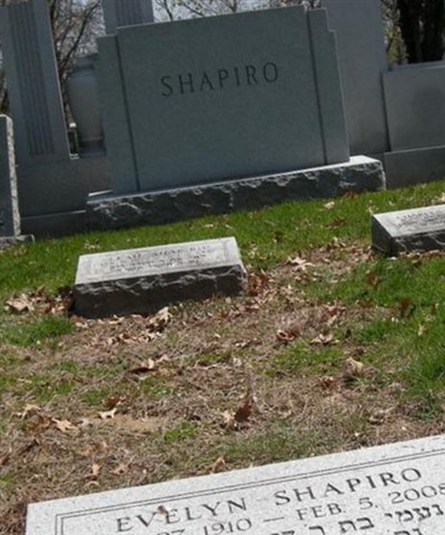 Leah Weintraub Shapiro on Sysoon