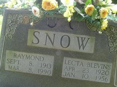 Lecta Blevins Snow on Sysoon