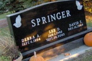 Lee D. Springer on Sysoon