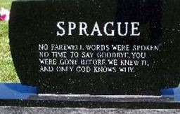 LeeAnn Ludwig Sprague on Sysoon