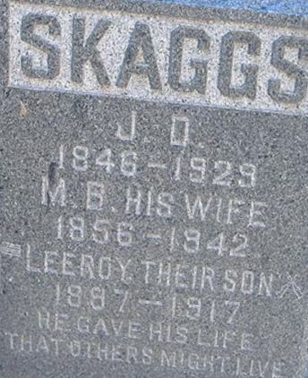 Leeroy Skaggs on Sysoon