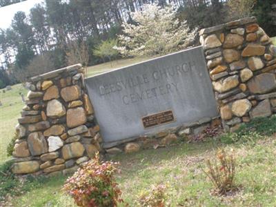 Leesville Southern Methodist Church Cemetery on Sysoon