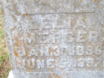Lelia Mercer on Sysoon
