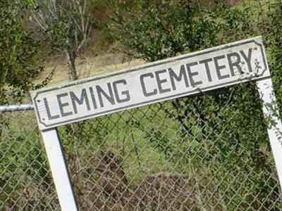 Leming Cemetery on Sysoon