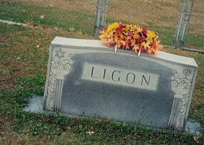 Lennie Ligon Family Cemetery on Sysoon