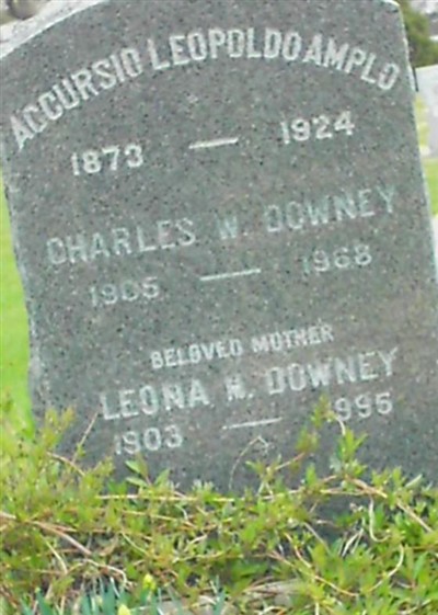 Leona M Downey on Sysoon