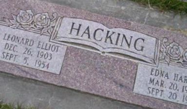 Leonard Elliot Hacking on Sysoon