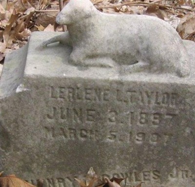Lerlene L Taylor on Sysoon