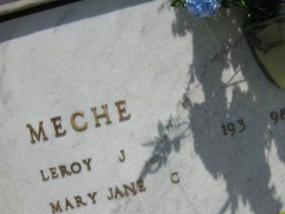 Leroy J Meche on Sysoon
