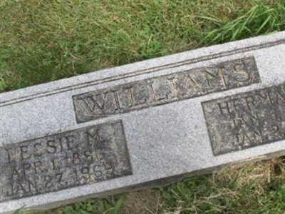 Lessie M. Williams on Sysoon