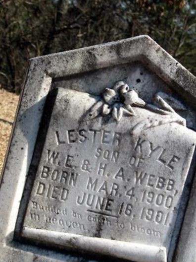 Lester Kyle Webb on Sysoon