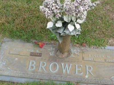 Lester M. Brower on Sysoon
