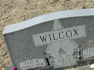 Leva V. Wilcox on Sysoon
