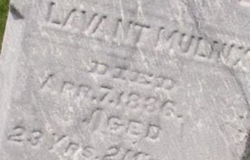 Levant Mulnix on Sysoon