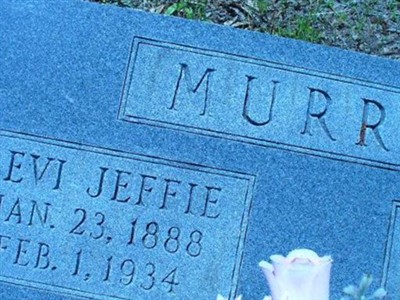 Levi Jeffie Murray on Sysoon
