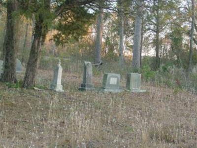 Lewis Cemetery on Sysoon