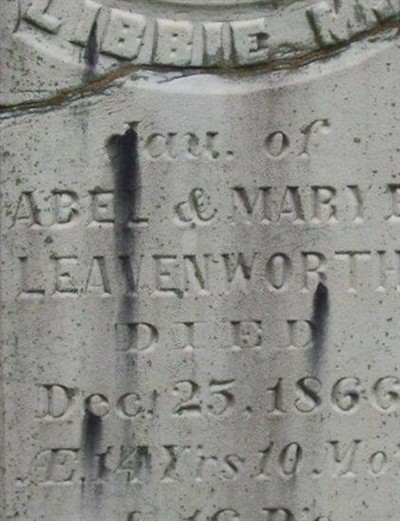 Libbie M. Leavenworth on Sysoon